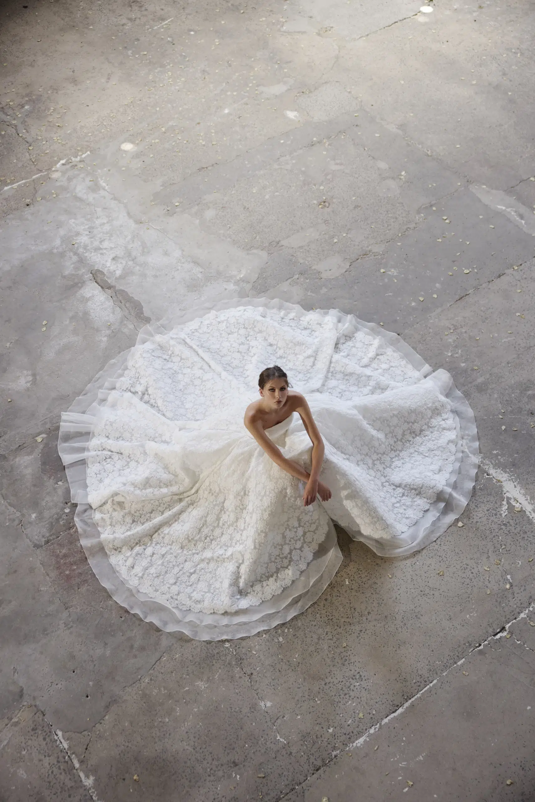 Filigree from the Alchemy collection